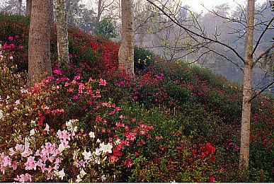 切枪动画大优化！ 《cs2》8月15日进行小型更新